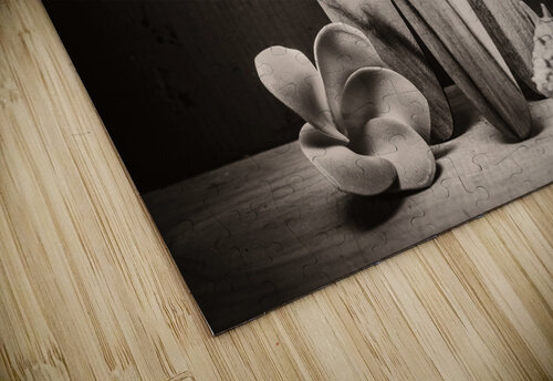 Seventies surfing Jorgo puzzle