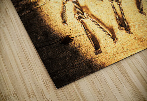 Reprogramming Centre Jorgo puzzle