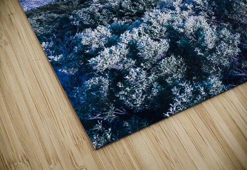 Halloween woodland Jorgo puzzle