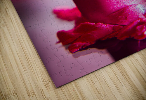 Pink lipstick pressed on surface Jorgo puzzle