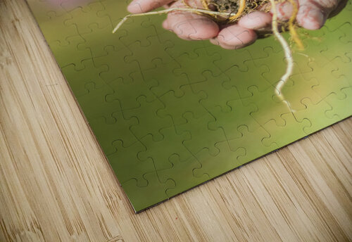 Hands Holding Plant Jorgo puzzle