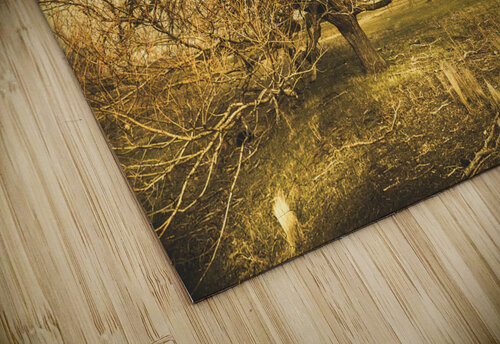 Oatlands autumn tree Jorgo puzzle