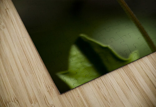 Purple Daisy Jorgo puzzle