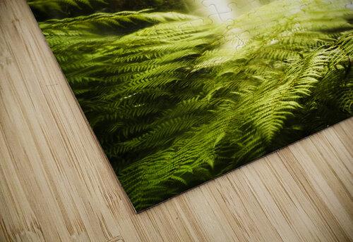 Russell Falls background Jorgo puzzle