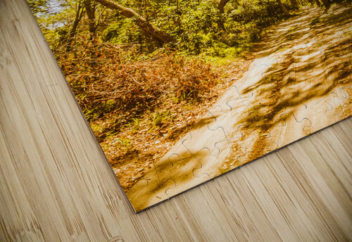 Amity Vl. Jorgo puzzle