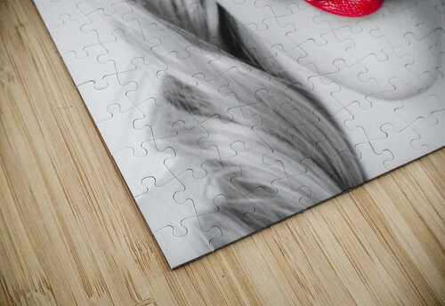Make-up closeup. Cosmetic pinup girl in lip makeup Jorgo puzzle