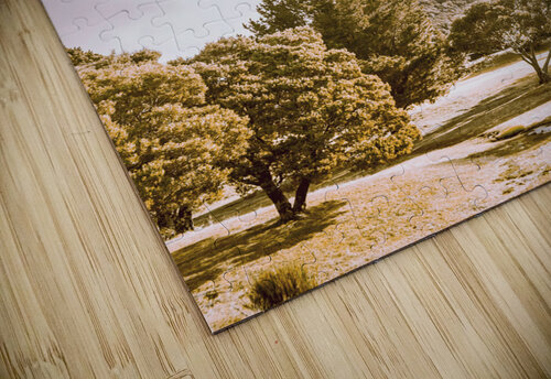 Scenically simplistic Jorgo puzzle