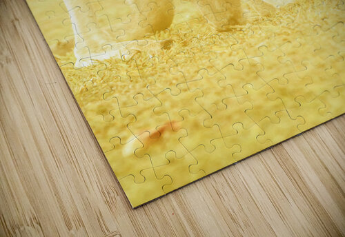 Golden Roo Jorgo puzzle