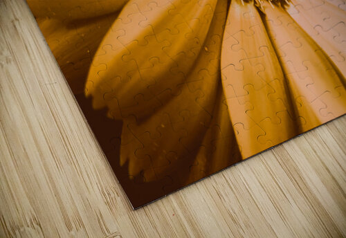 Decorative closeness Jorgo puzzle