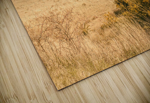 Country colours Jorgo puzzle