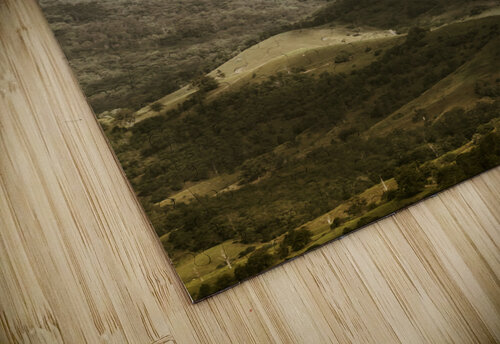 Oncoming rains Jorgo puzzle