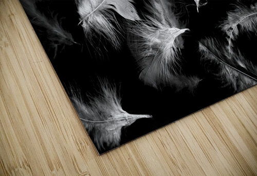 Motions Jorgo puzzle