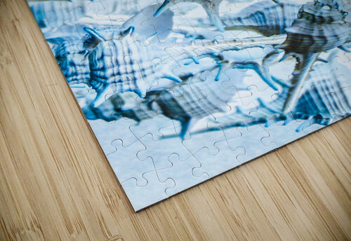 Creative seas Jorgo puzzle