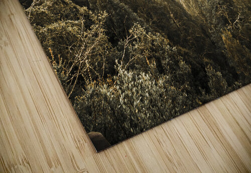 Hartz Mountains to Wellington Range Jorgo puzzle