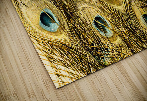 Spot colors Jorgo puzzle