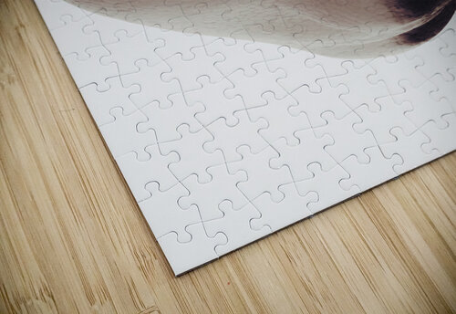 Thoughts and creation Jorgo puzzle