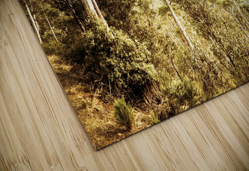 Bush views and lookouts Jorgo puzzle