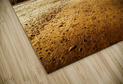 Off the beaten track Jorgo puzzle