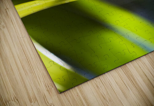 Tropical Butterfly Jorgo puzzle