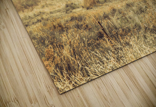 Stallion homestead Jorgo puzzle