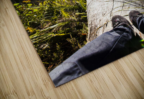 Explore tasmania Jorgo puzzle