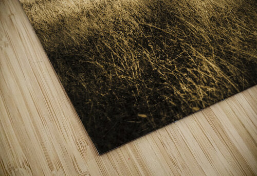 Nature photo of Tasmanian countryside in Australia Jorgo puzzle