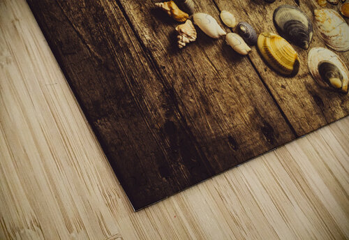 Shell n anchor Jorgo puzzle