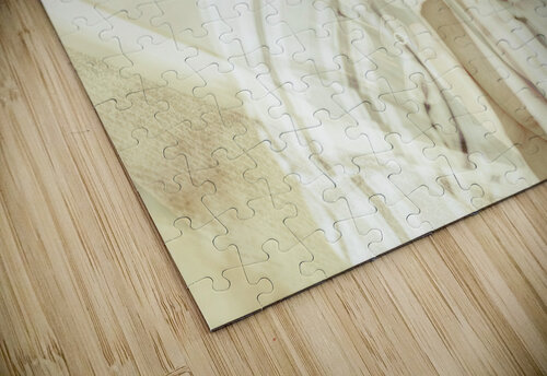 Retro typist with dream to inspire Jorgo puzzle