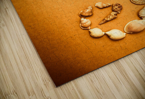 Marine Seashell Seahorse Design Jorgo puzzle