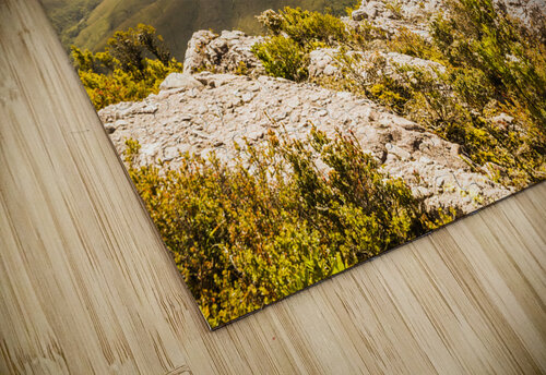 Rural town valley Jorgo puzzle