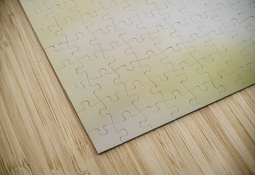 Wild simplicity Jorgo puzzle