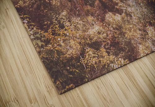 Washes of warmth Jorgo puzzle