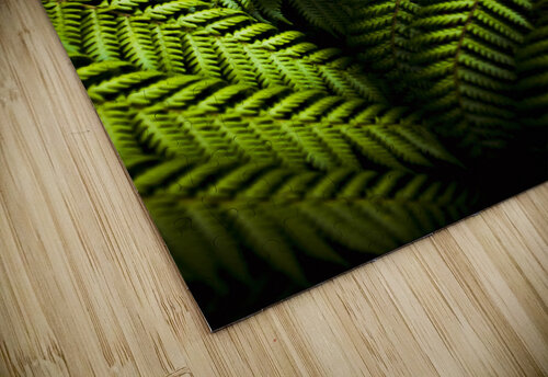 Twilight rainforest fern  Jorgo puzzle