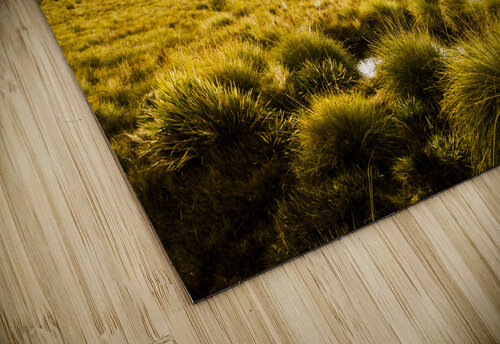 Mount Arrowsmith Tasmania Australia Jorgo puzzle