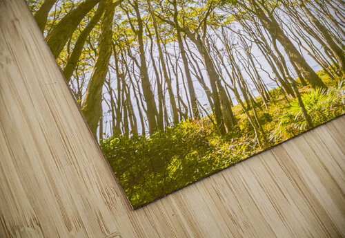 Open airs Jorgo puzzle