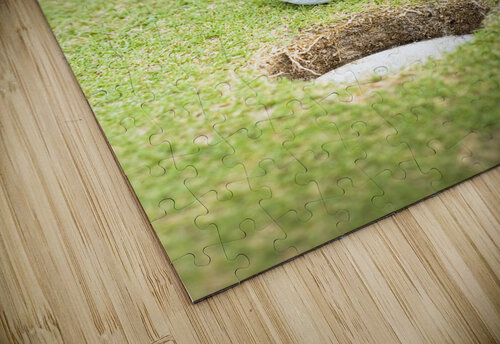 Golf Player Blowing The Ball Jorgo puzzle