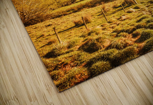 Rustic Pastoral Australia Jorgo puzzle