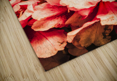 Shabby chic romances Jorgo puzzle