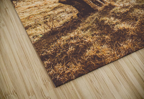 Arid Tasmania bush landscape Jorgo puzzle