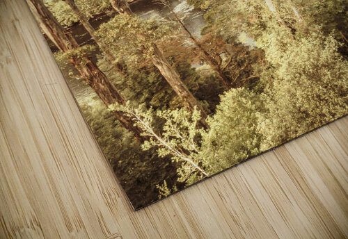 Elevated country Jorgo puzzle