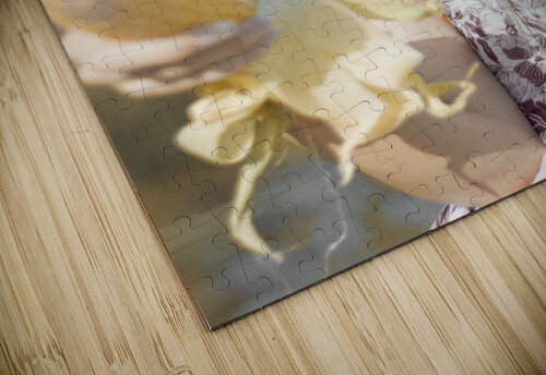 Country And Western Corn Slinger Jorgo puzzle