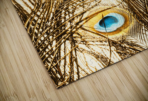 Regally golden Jorgo puzzle