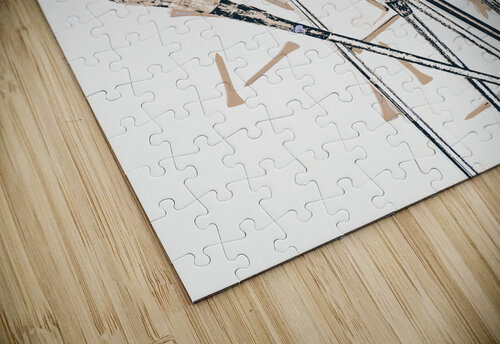 Play it as it lies Jorgo puzzle