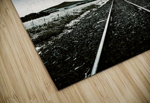 Journey of turbulence Jorgo puzzle