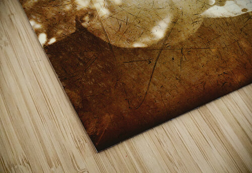 Past life flowers Jorgo puzzle