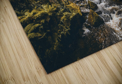 Falls in fall Jorgo puzzle