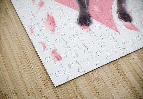 Dog with pink rose on heart shape background Jorgo puzzle