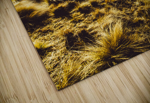 Car touring the Central Highlands in Tasmania Jorgo puzzle