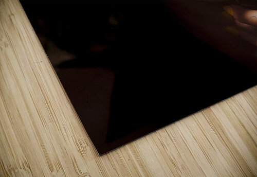 Sun Flower Jorgo puzzle