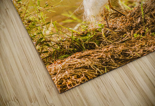 Afternoon lakes Jorgo puzzle